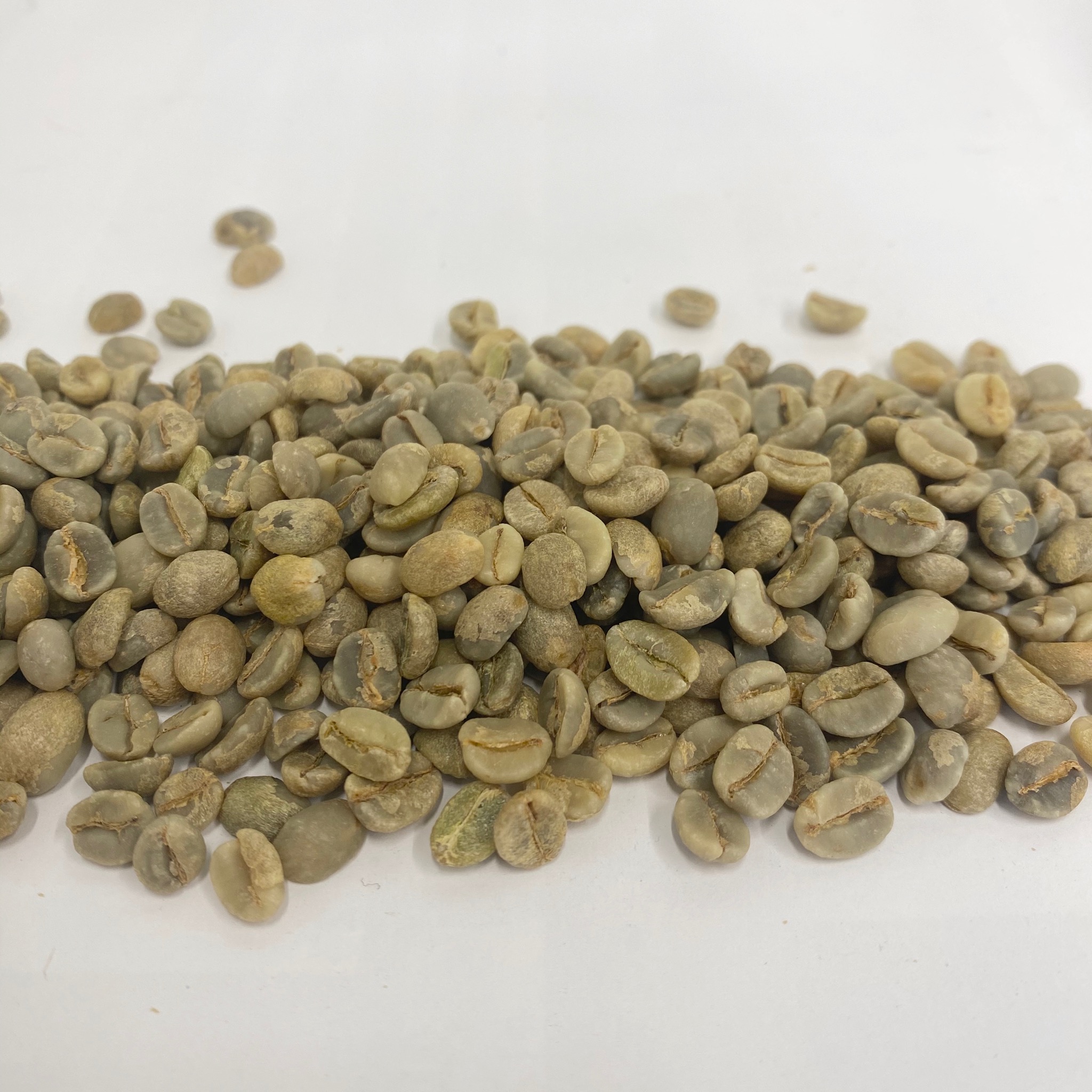 Yemeni Green Coffee Beans Coffee Bean Corral
